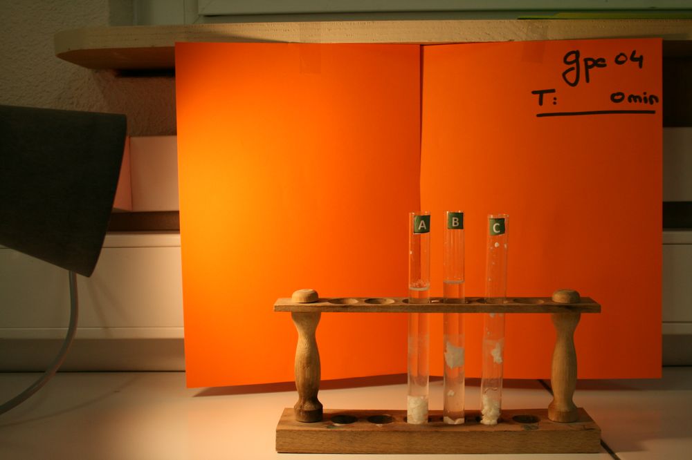 gal/LES_CINQUIEMES/ACTIVITE DIGESTION IN VITRO/Groupe_04/Groupe04_T_00h00min/Groupe04_T_00h_00min_10.JPG